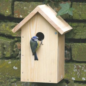 Kit de construction - Nichoir oiseaux kit nichoir - idée cadeau pour grand-père
