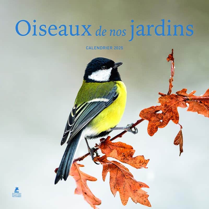 Calendrier oiseaux du jardin