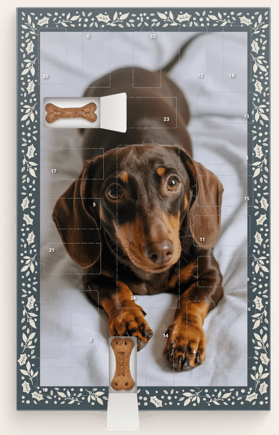 Calendrier de l'avent pour chien Calendrier de l'avent pour chien - avec photo