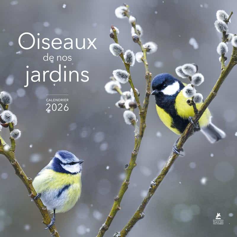 Calendrier oiseaux du jardin